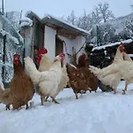 Rural El Sestil