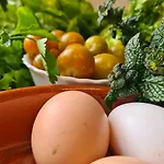 Rural El Sestil