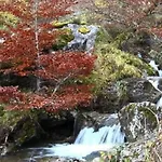 컨트리하우스 Rural El Sestil *