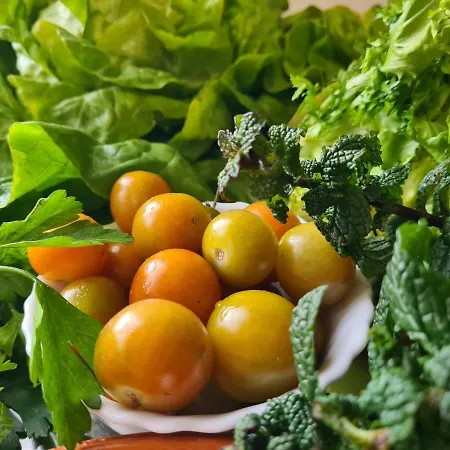 Lantställe Rural El Sestil *