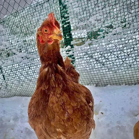 Rural El Sestil Dobres