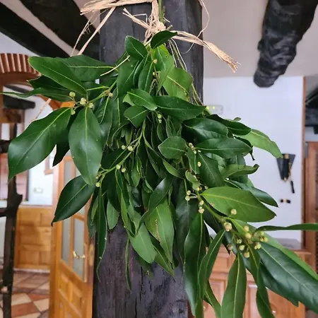 Hotel Rural El Sestil Dobres
