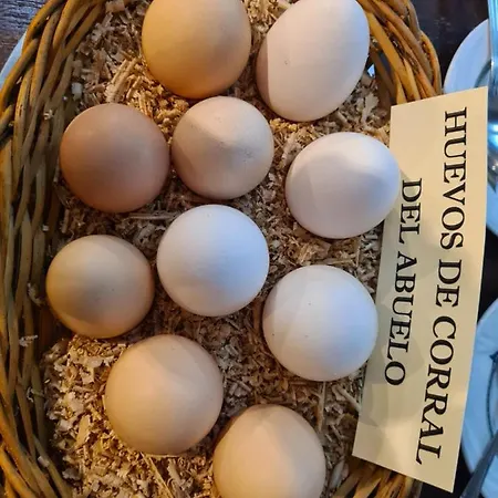 Rural El Sestil Lantställe