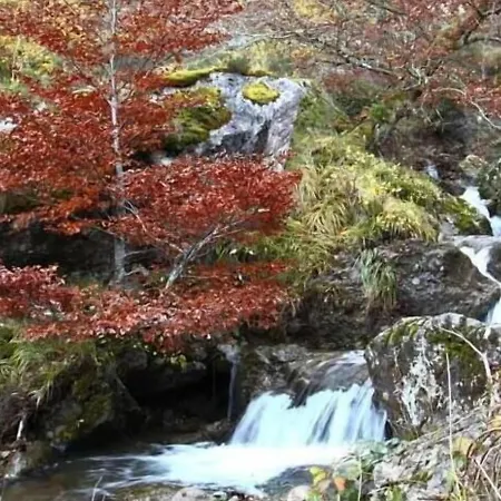 Lantställe Rural El Sestil *