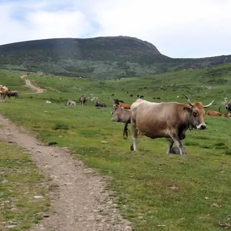 Rural El Sestil בית כפרי *