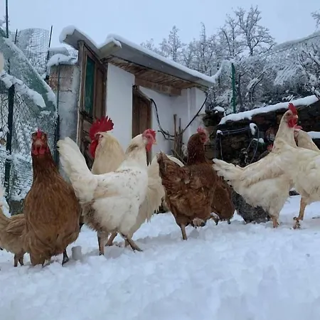 Rural El Sestil *