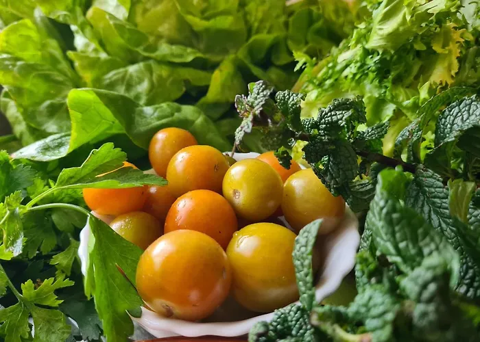 Country house Hotel Rural El Sestil *