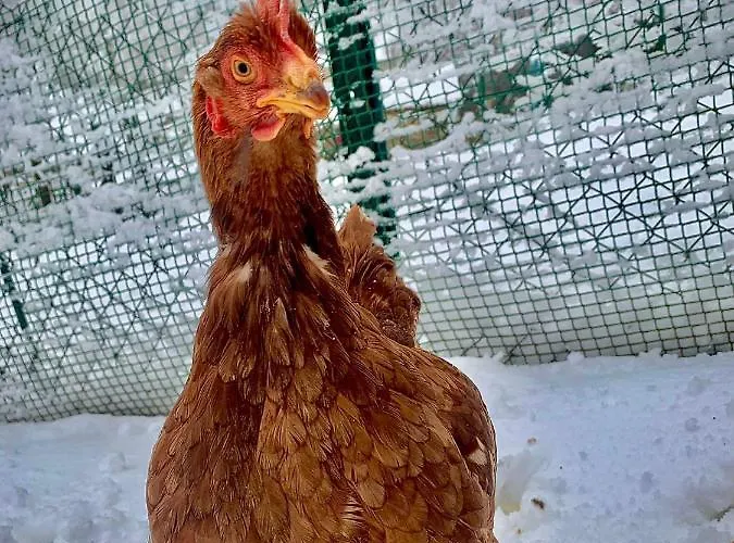 Rural El Sestil Dobres