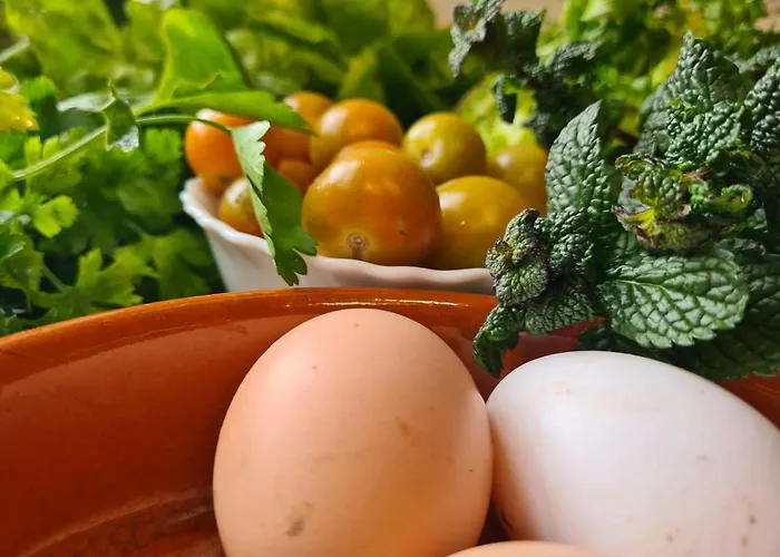 Hotel Rural El Sestil