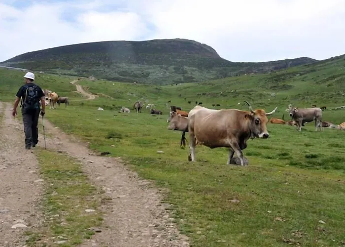 Rural El Sestil Hétvégi ház *